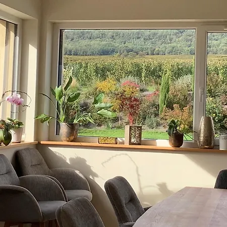 Superbe Maison Jacuzzi+piscine Au Coeur Des Vignes Dom wakacyjny Pfaffenheim