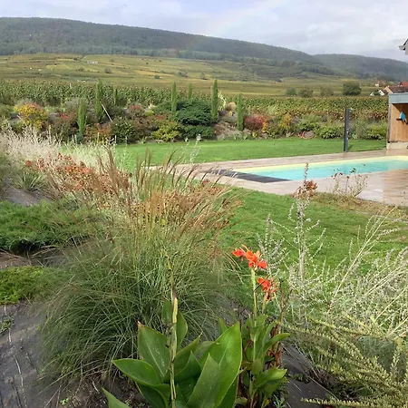 Dom wakacyjny Superbe Villa Jacuzzi & Piscine Au Coeur Des Vignes Pfaffenheim